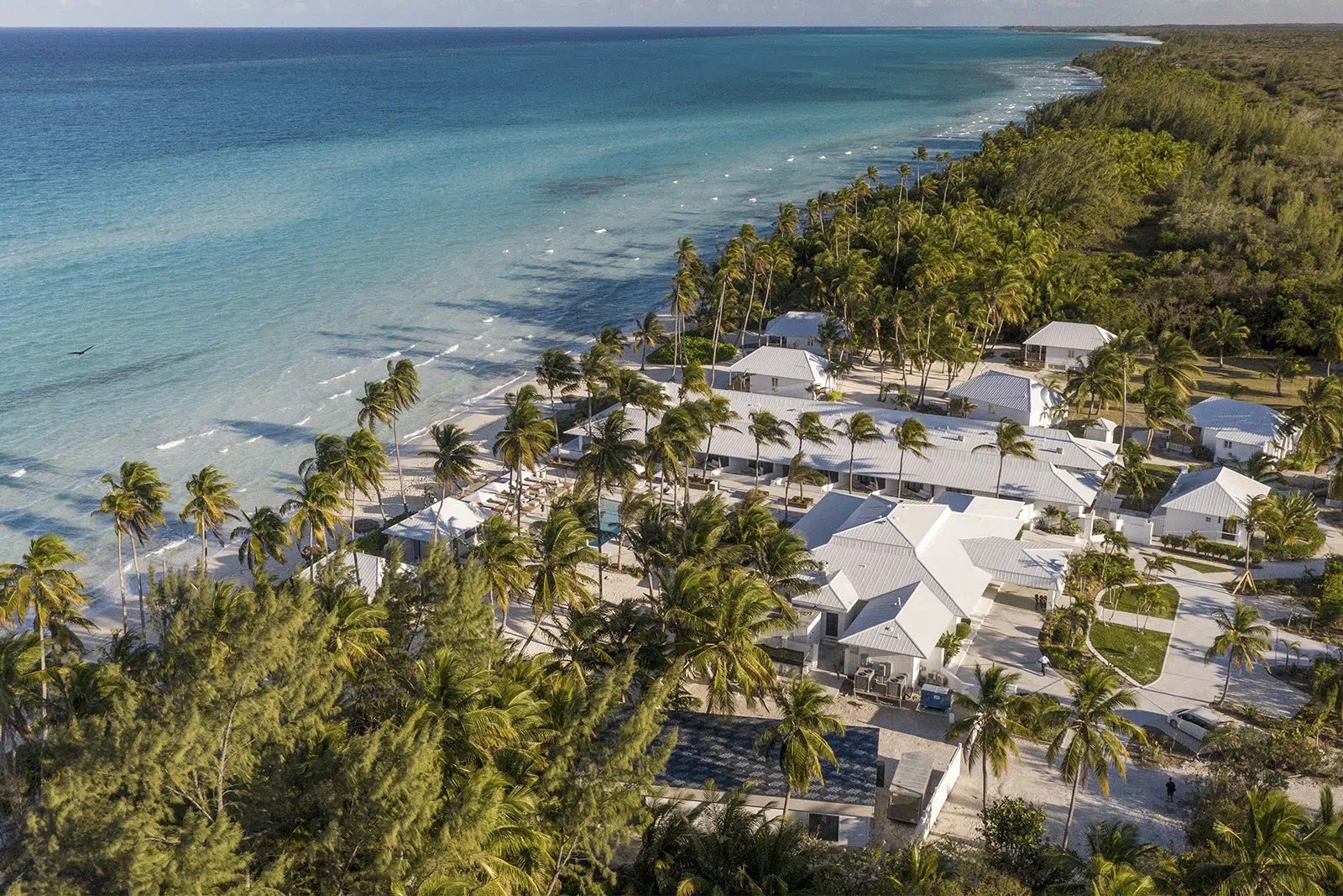 Aerial view of white-roofed villas set among dense palms along a pale sandy shoreline