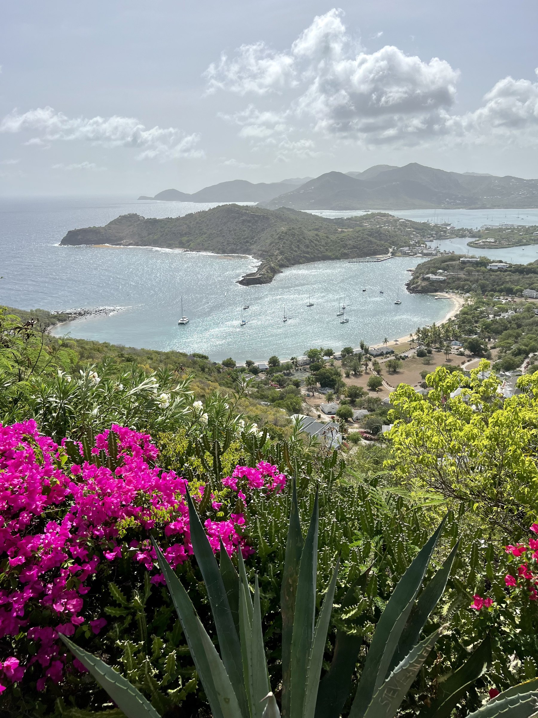Bright bougainvillea and agave framing an elevated view of a yacht anchorage and green hills