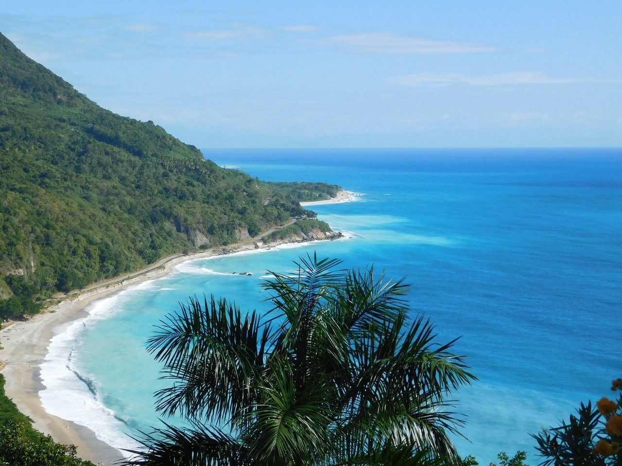 Forested cliffs falling to a pale beach and deep blue sea, palm foreground.