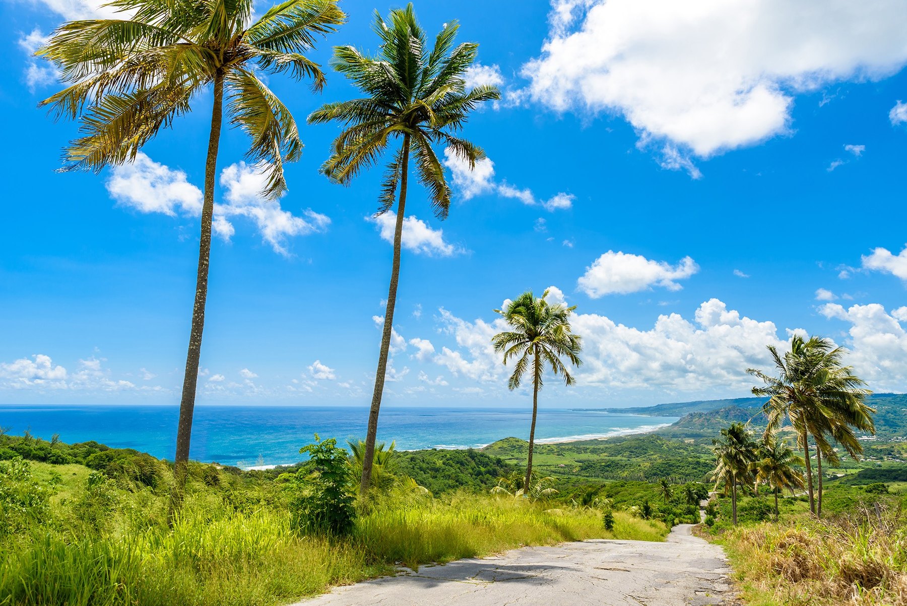 Will Caribbean Passports Lose EU Visa-Free Access?
