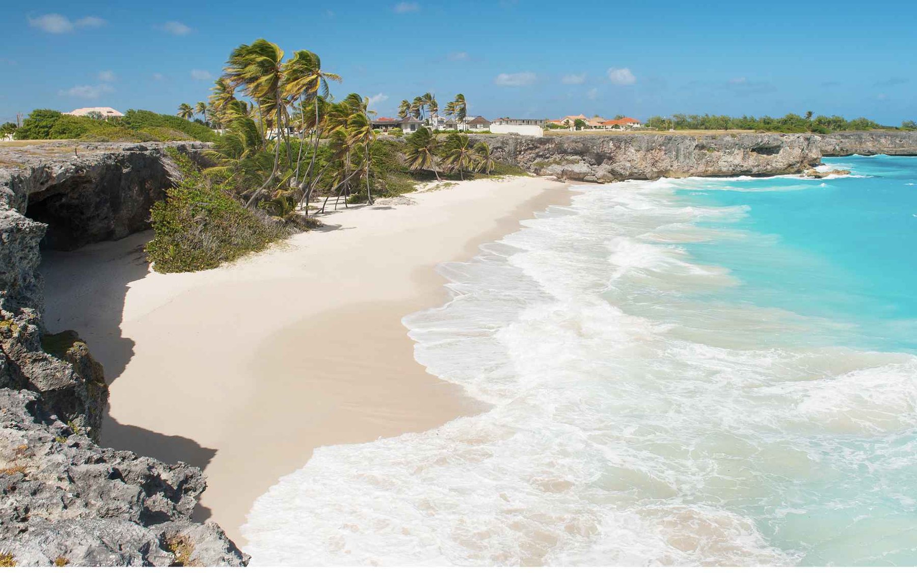 Windswept palms above a curved white beach enclosed by weathered limestone cliffs