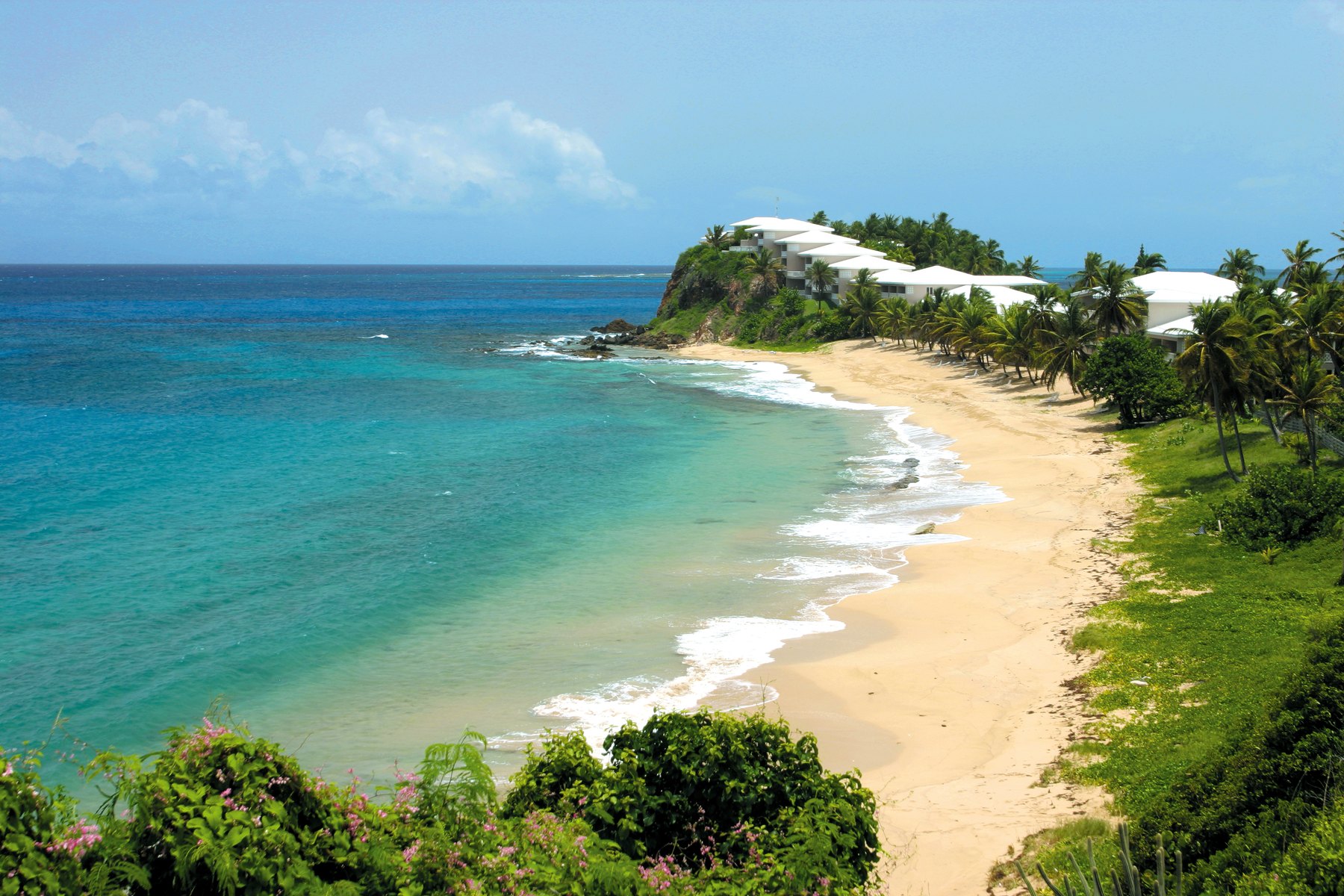 Curving sand beach backed by palms with whitewashed villas stepping down a green headland