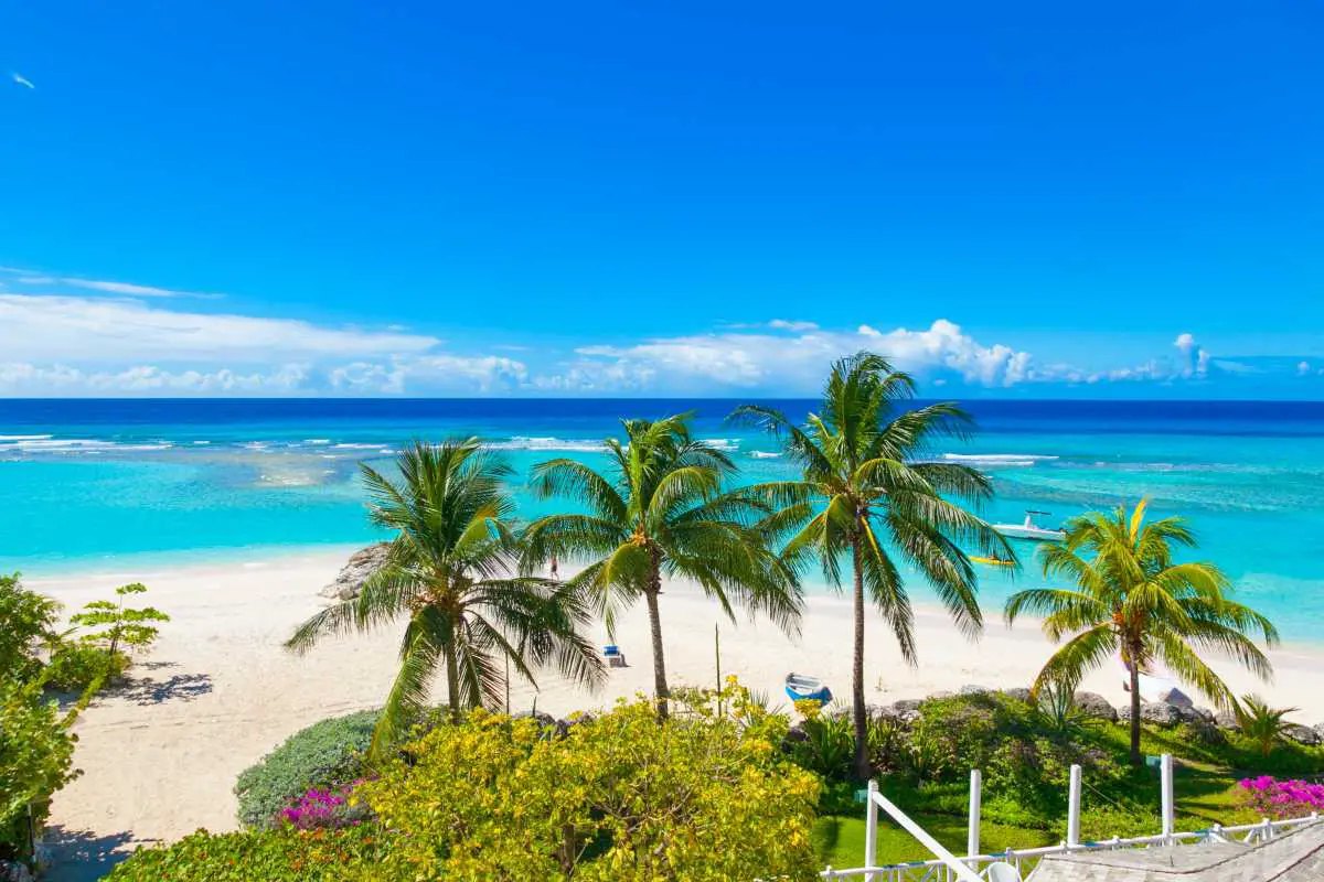 Coconut palms above a white beach with a turquoise lagoon and a distant reef line