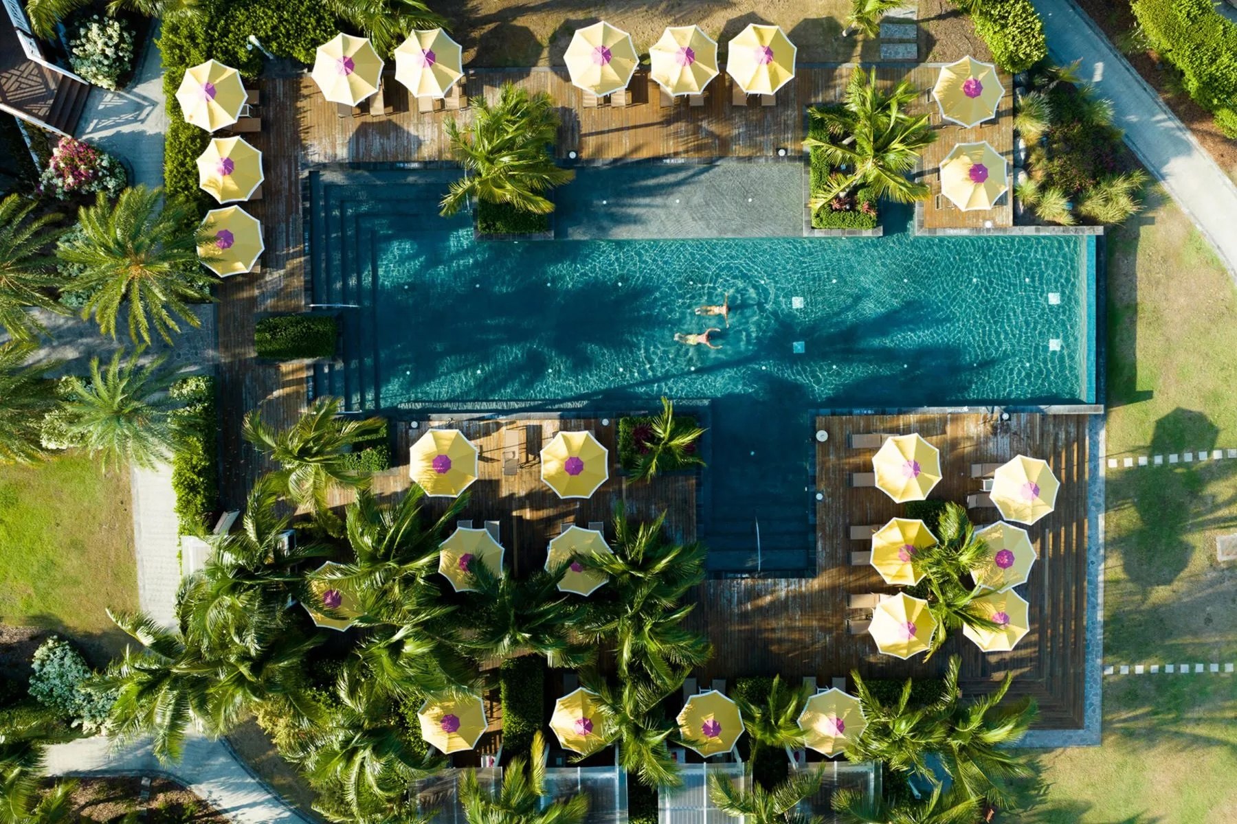 Overhead view of the palm-fringed resort pool and sun deck at Four Seasons Nevis