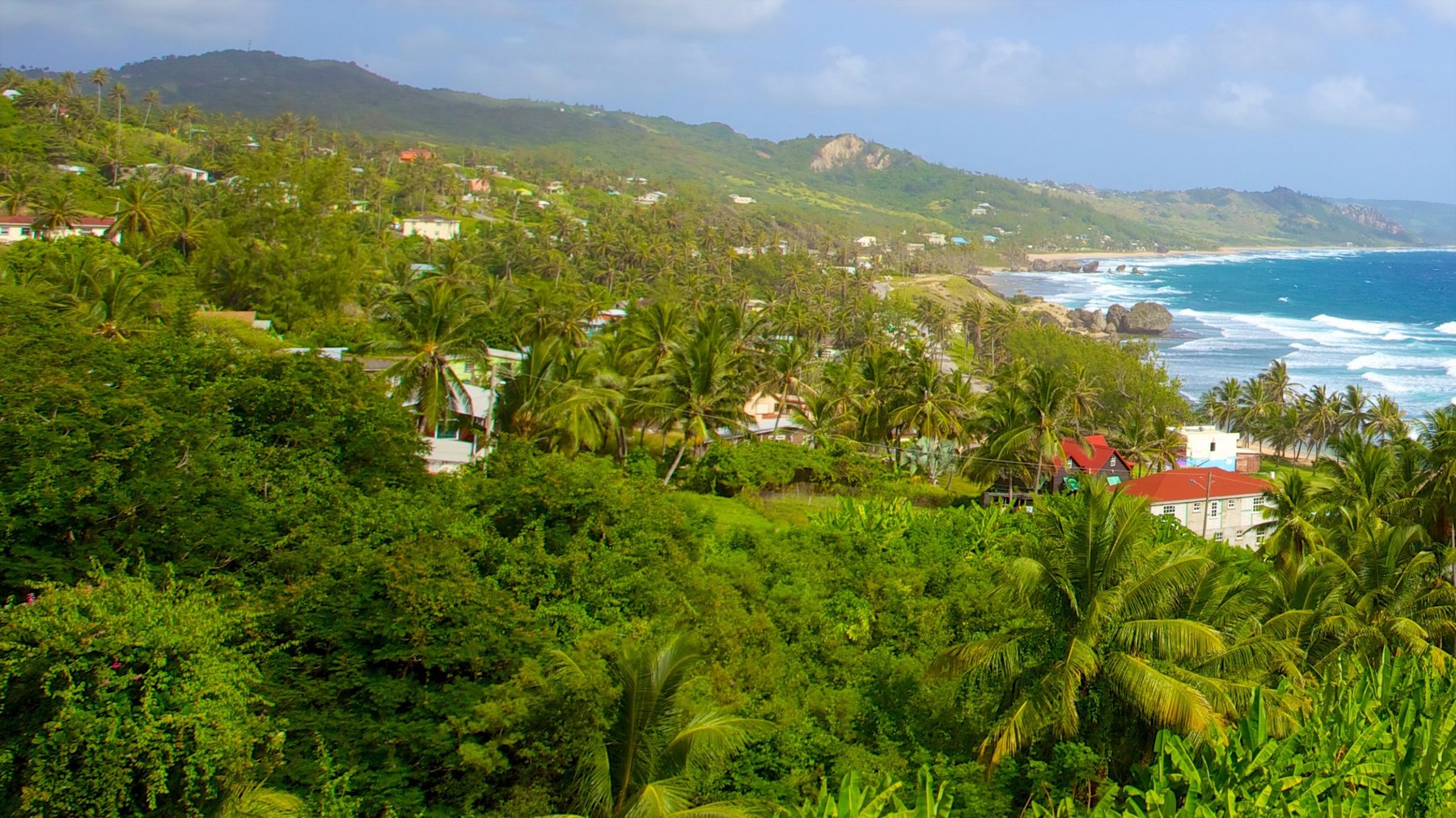 Houses scattered among dense palms on a green hillside above a rocky surf coastline