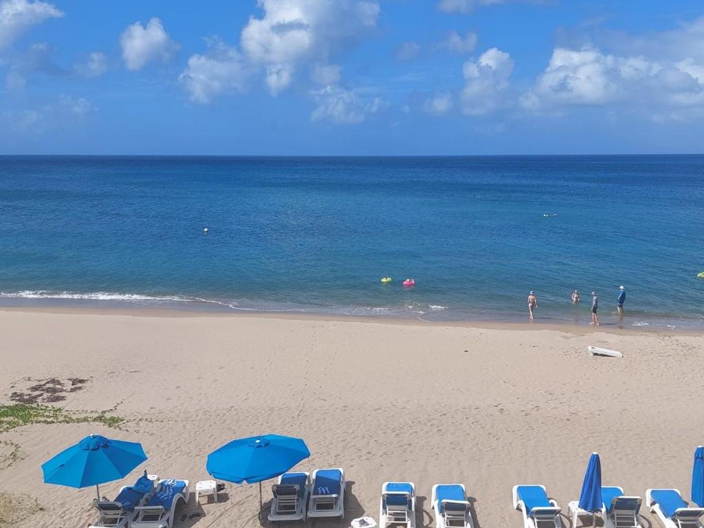 Pinney's Beach at Hamilton Beach Villas, blue loungers and umbrellas on pale sand