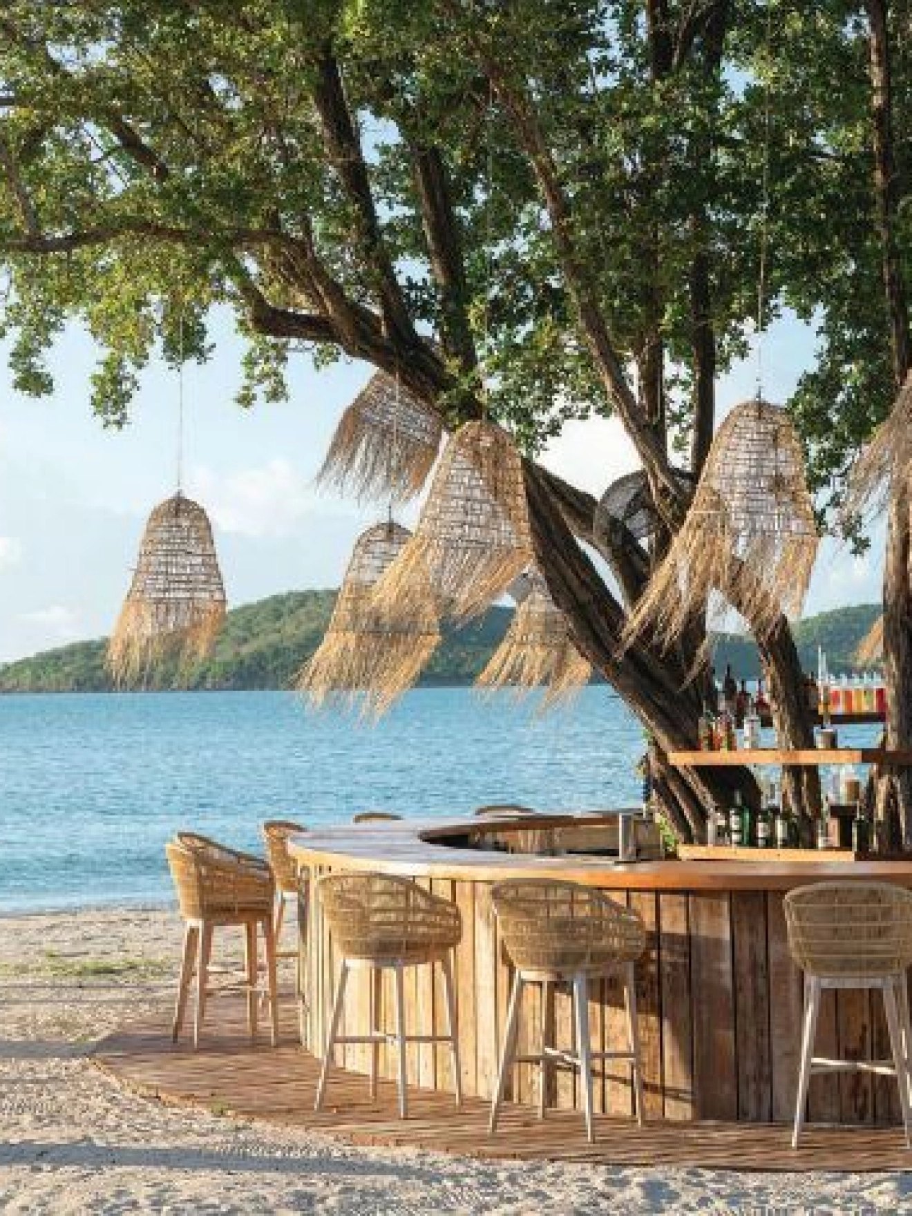 Thatched beach bar under a shade tree on the sand at Hermitage Bay, Antigua