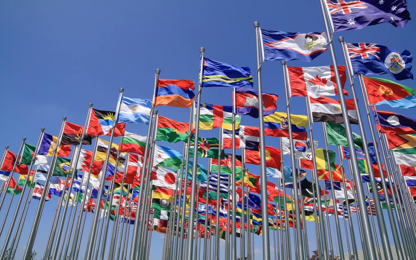 Dozens of national flags on tall metal poles against a clear blue sky