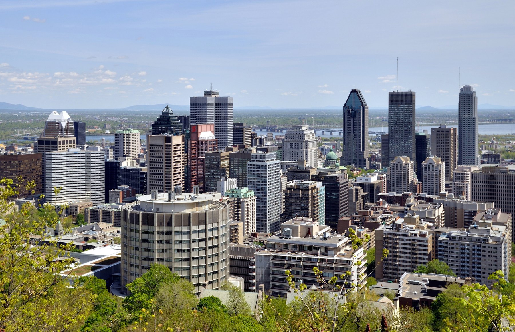 Montreal's downtown skyline and residential blocks viewed from the wooded Mount Royal slope