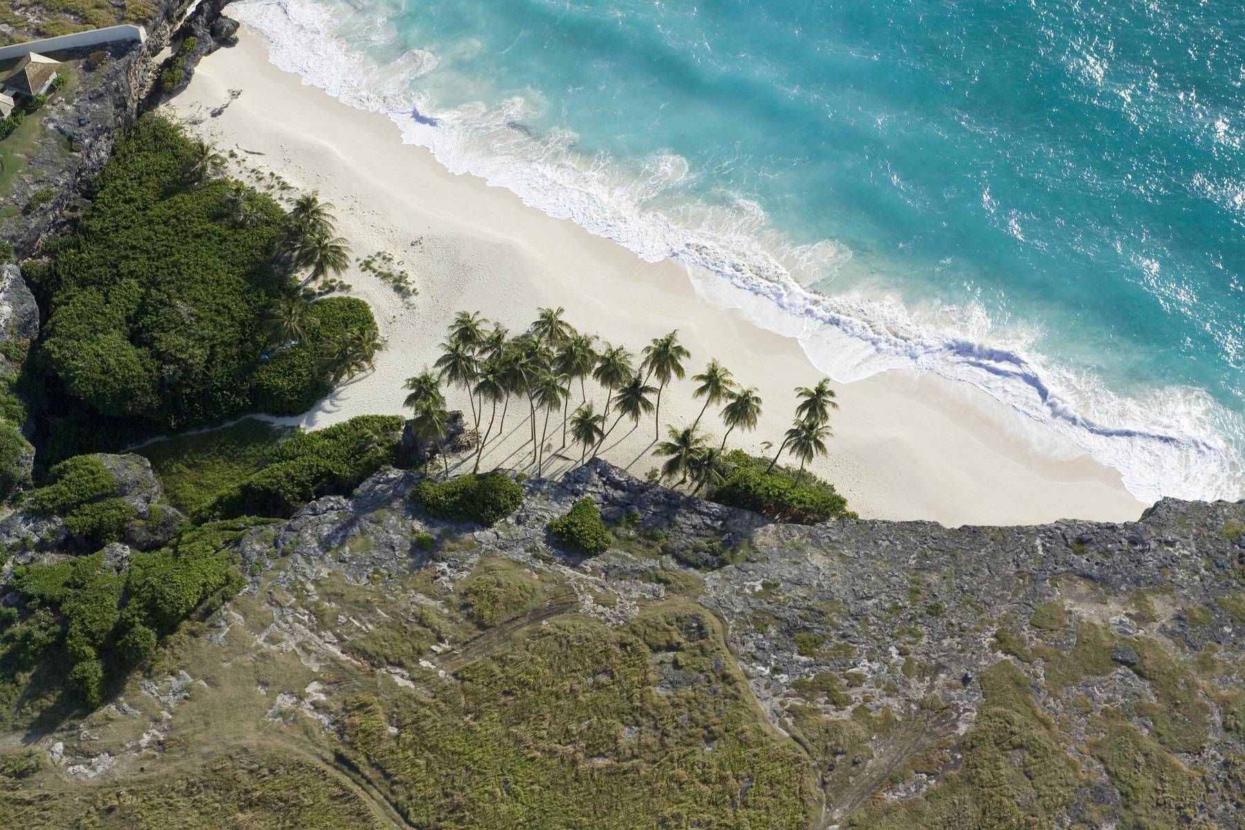 Aerial view of a white-sand cove backed by leaning palms below a rocky, scrub-covered headland