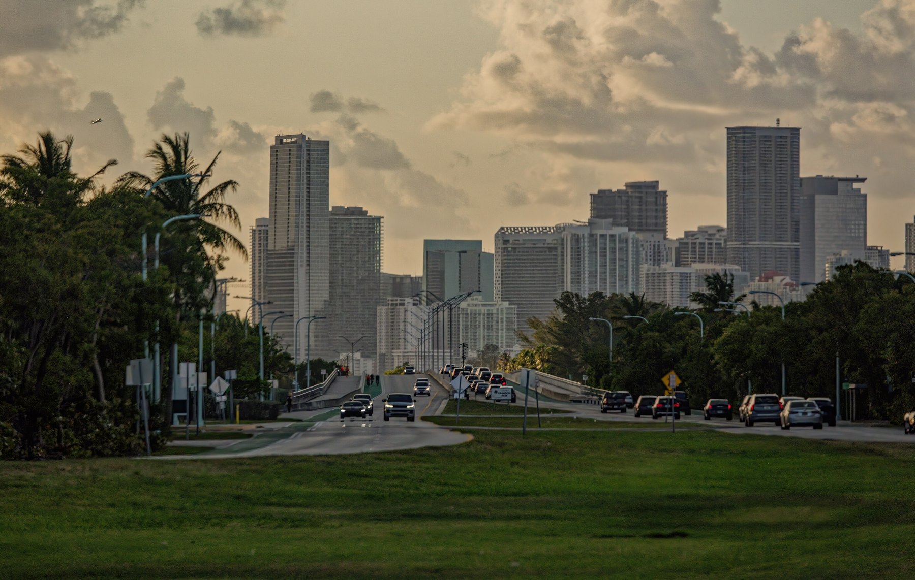 Traffic on a palm-lined causeway heading toward a downtown skyline under evening clouds