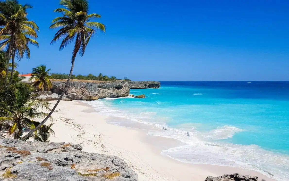 Coconut palms leaning over pale sand beneath coral limestone cliffs on a windward-coast beach