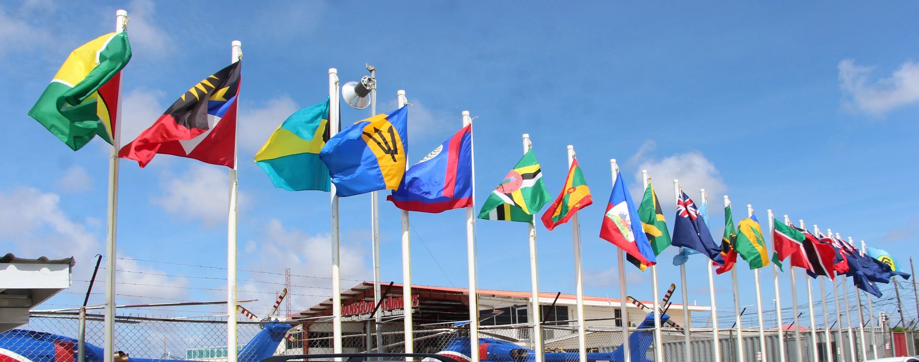 Row of colourful national flags on white poles flying against a blue sky