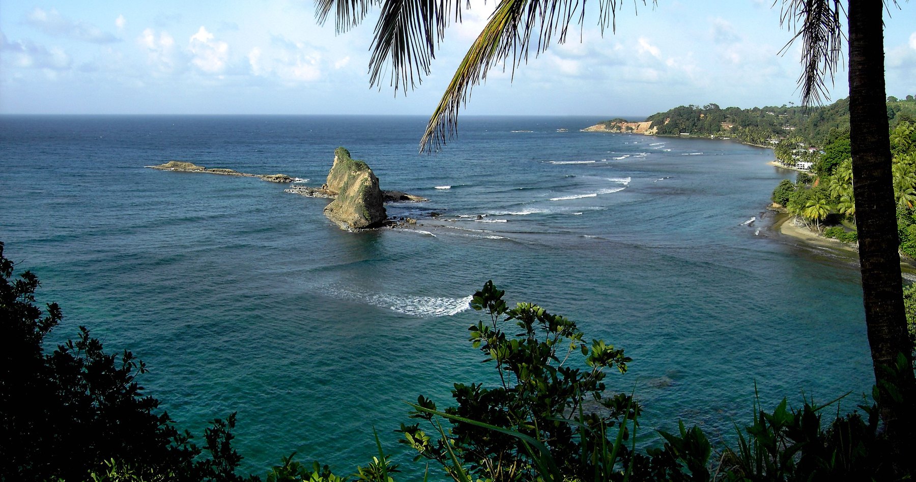 Rocky sea stack offshore, framed by palm fronds above a wide bay.