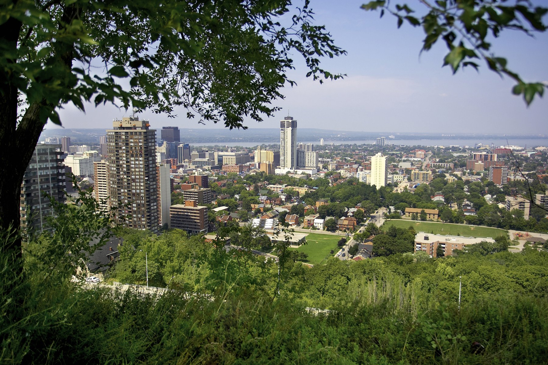 City towers and low-rise neighbourhoods seen through overhanging summer tree branches