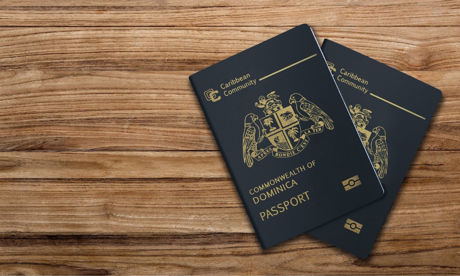 Two navy gold-embossed passports overlapping on a pale wooden tabletop
