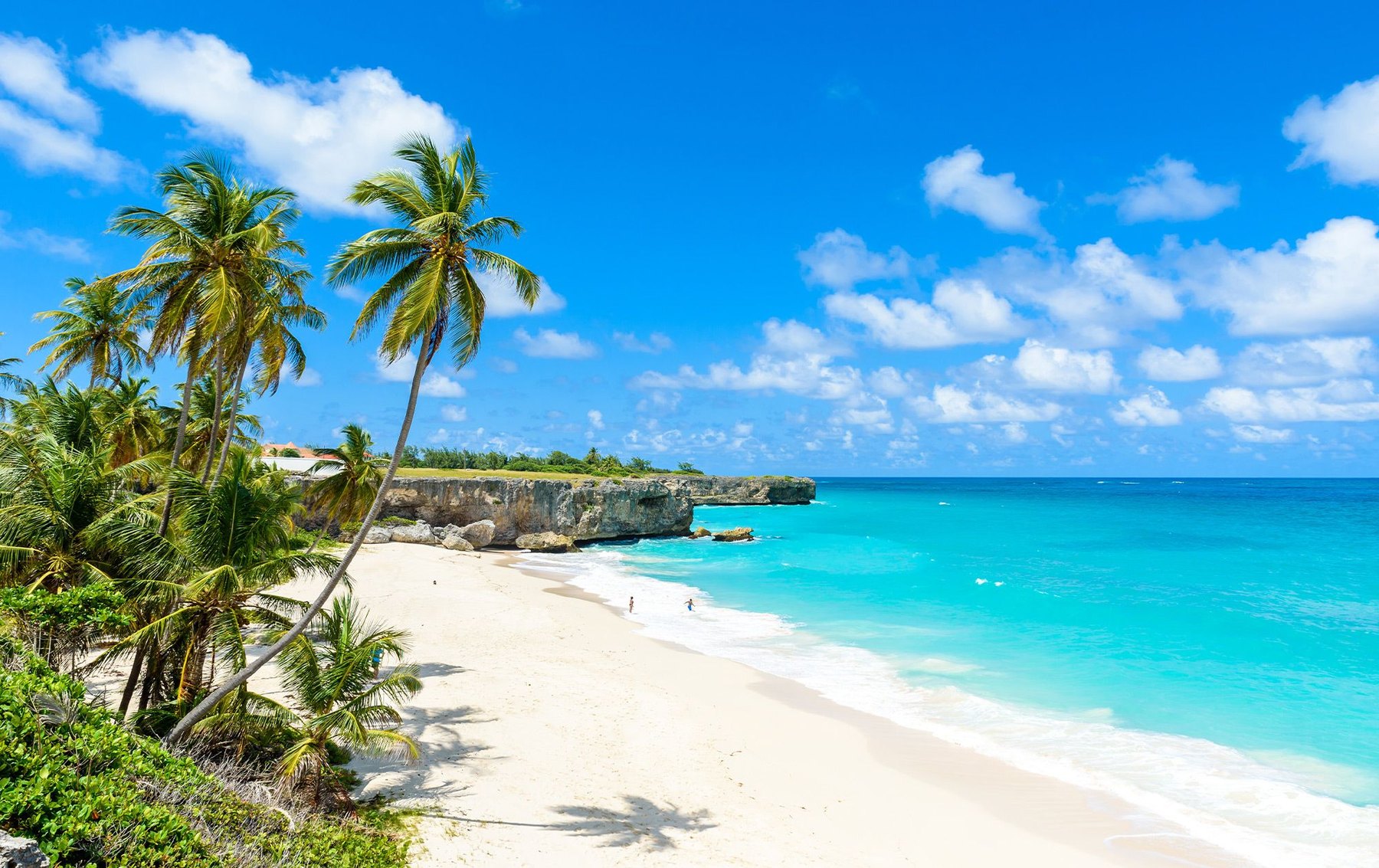 Curving white sand bay with coconut palms, a limestone cliff and bright turquoise water
