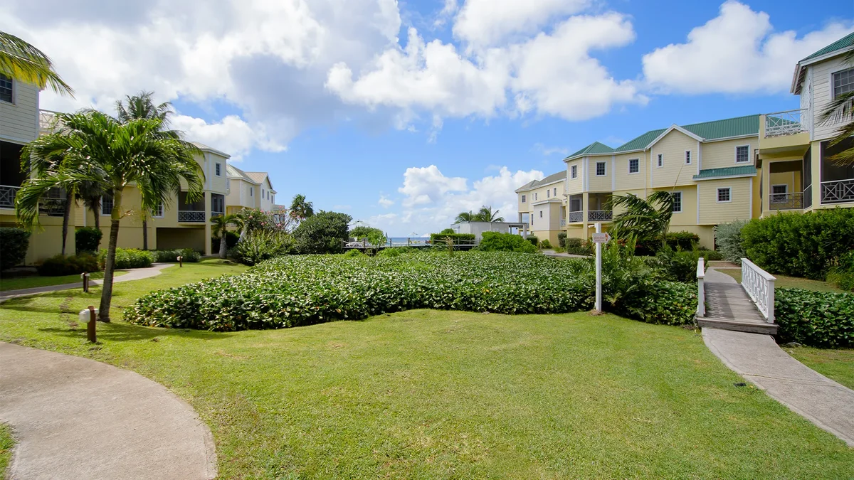 The lawn running down to the shore