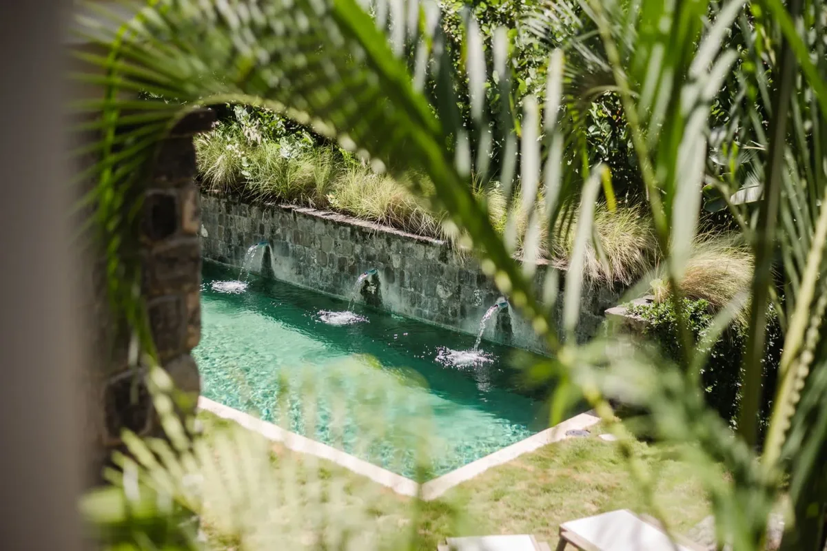 The pool seen through the palms