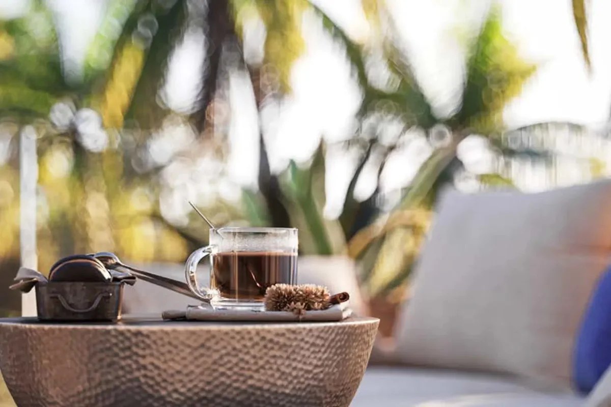 Morning coffee on the terrace