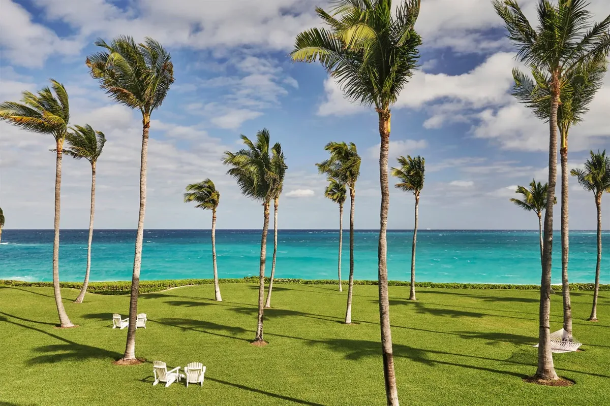 Artist’s rendering of the lawn running down through the palms to the sea