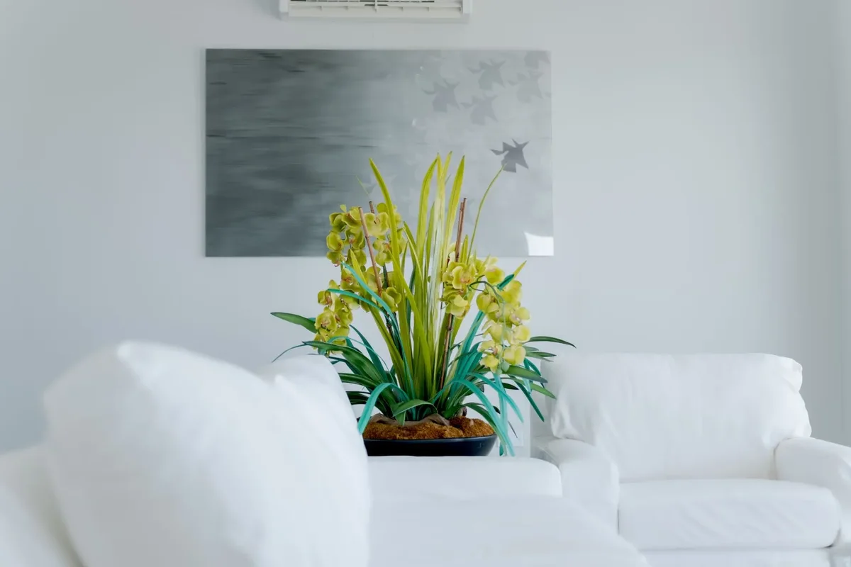 The living room with a planted table