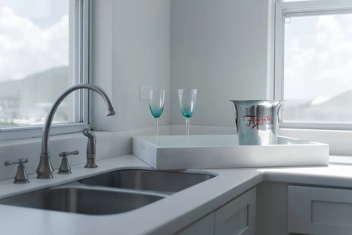 The kitchen sink and counter