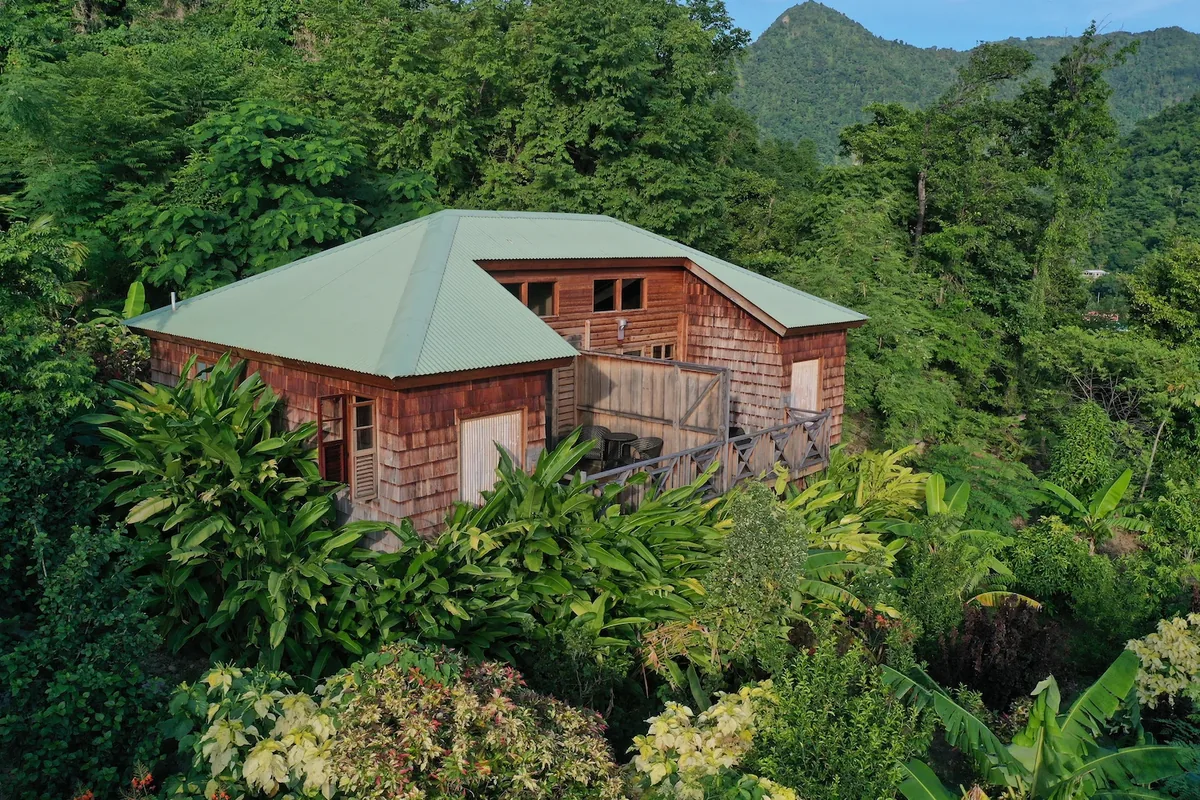 Jungle Bay Resort