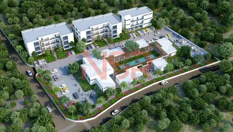 Zen Pinney's Beach Designer Condos