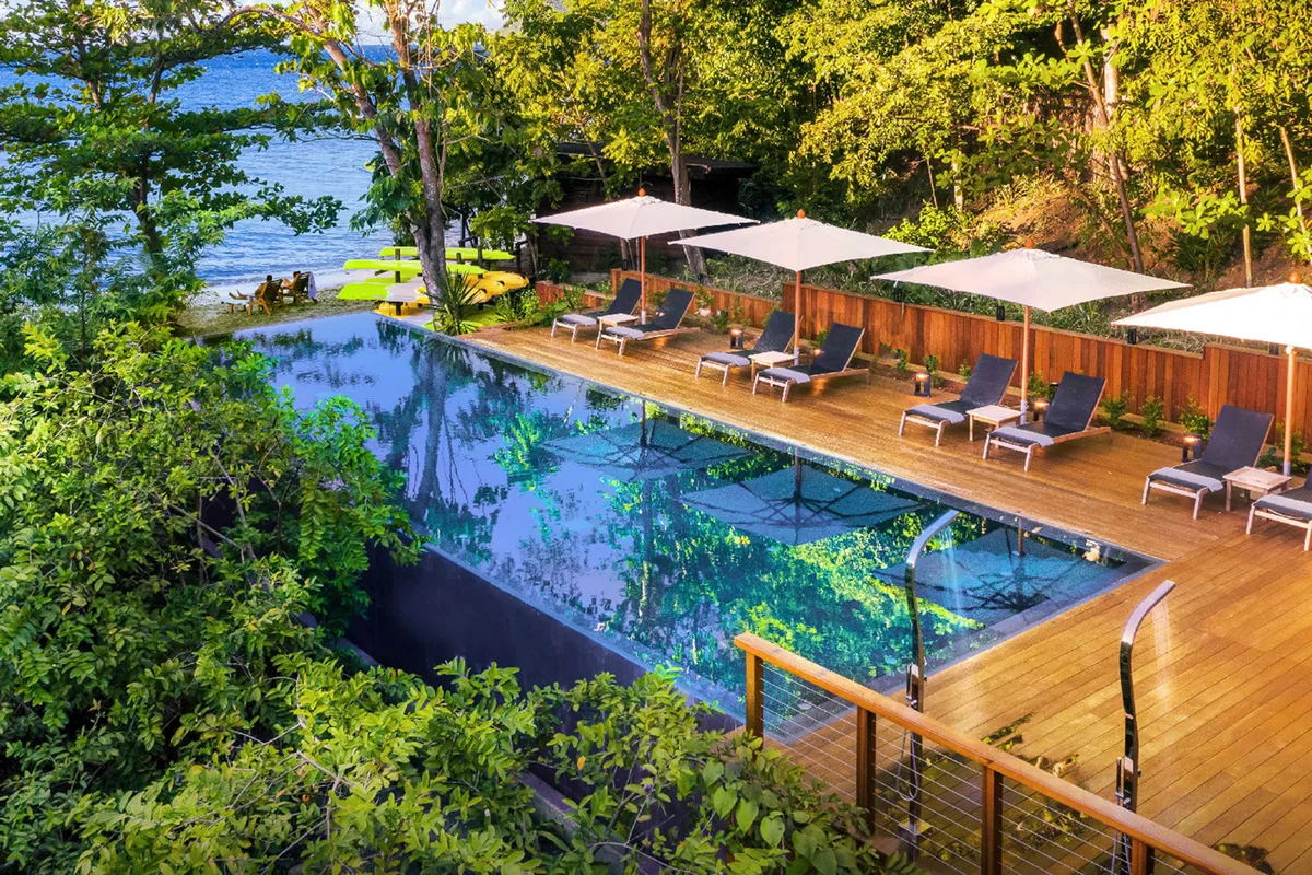 PHOTO β the resort's main pool at golden hour, timber deck with sun loungers and cream umbrellas, rainforest