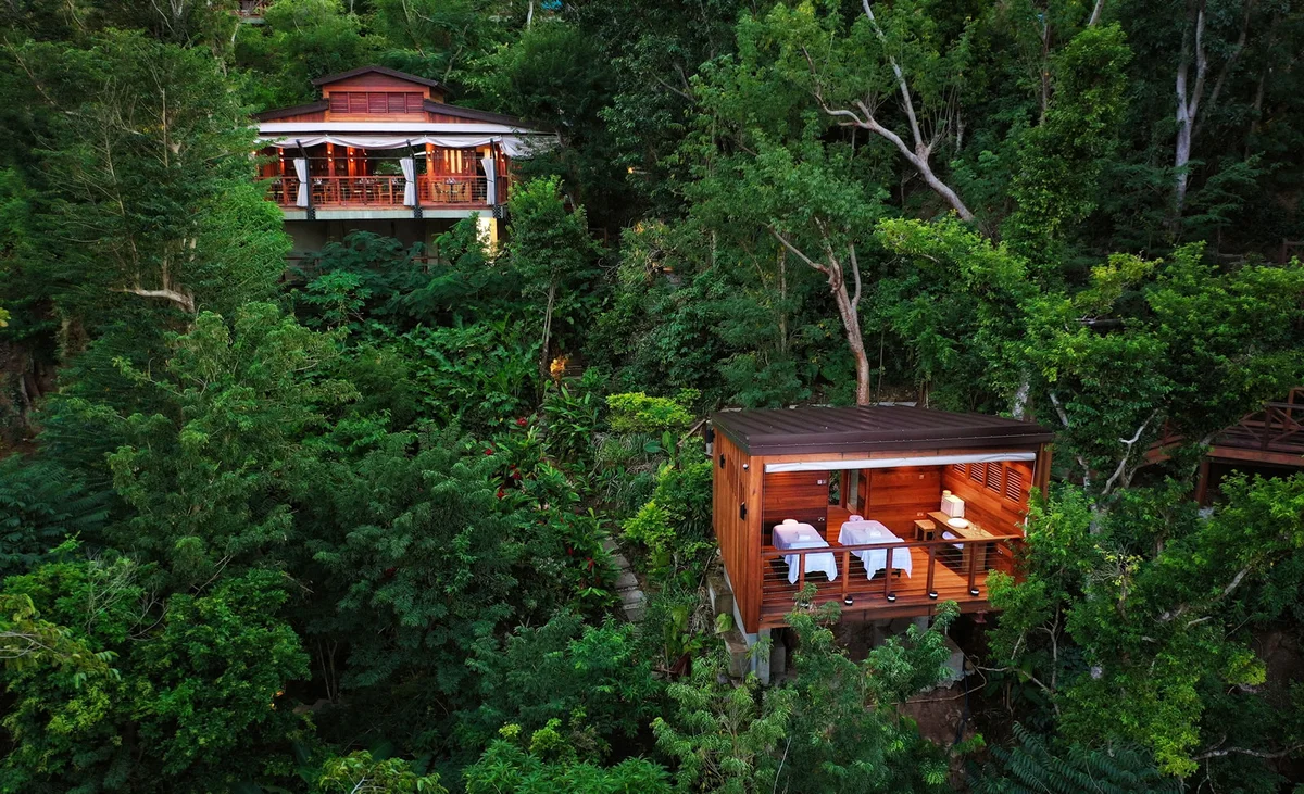 PHOTO — two timber treehouse-style villas perched in the rainforest canopy, one with loungers on its deck. 1600x975