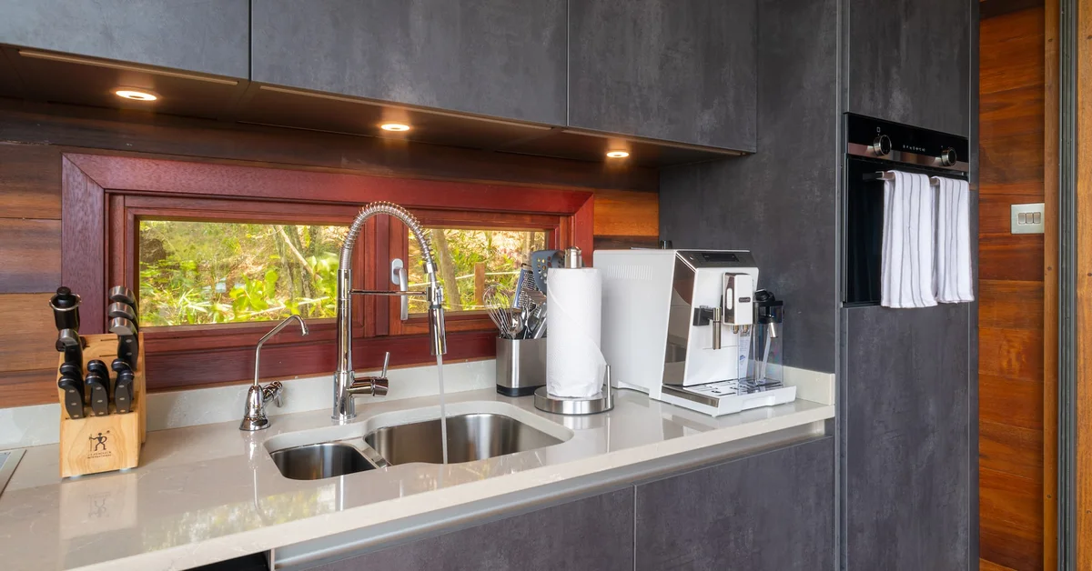 PHOTO — kitchen counter detail: double sink, knife block, coffee machine, paper towel, window to greenery.
