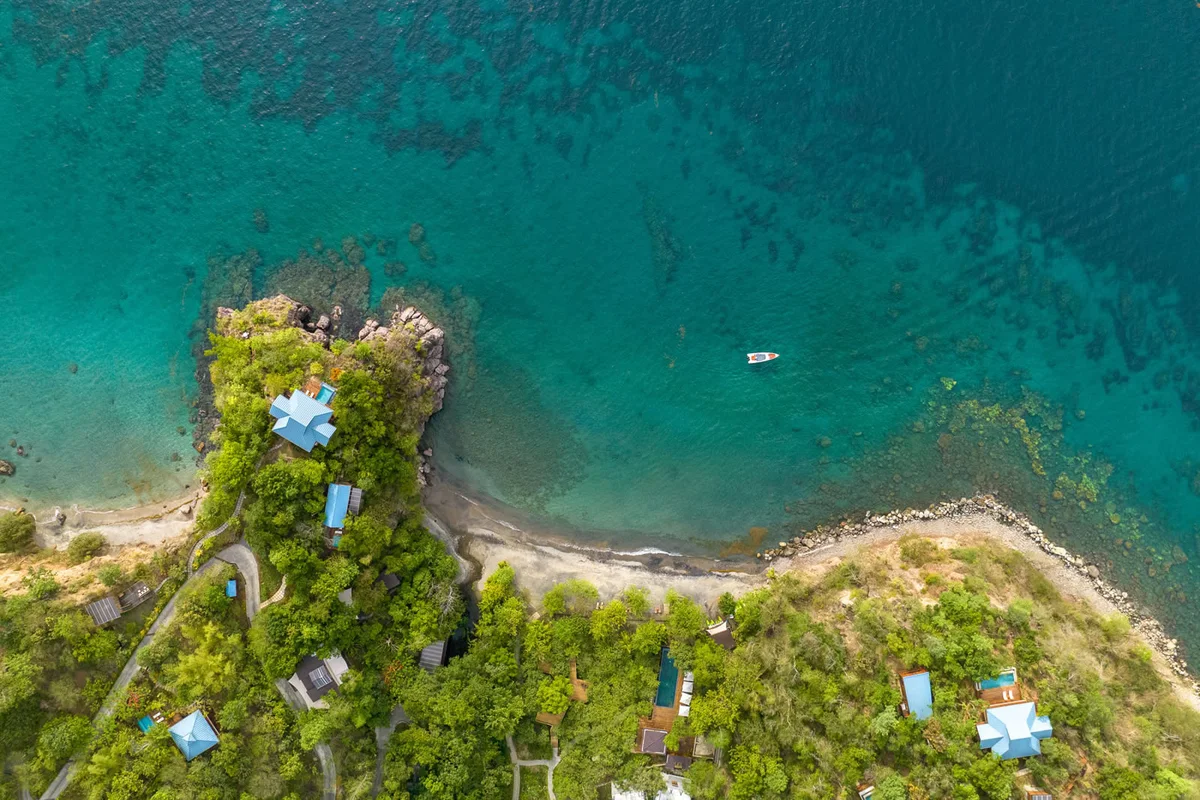 PHOTO — near-vertical aerial looking down on the headland: blue-roofed villas in the canopy, beach and reef in