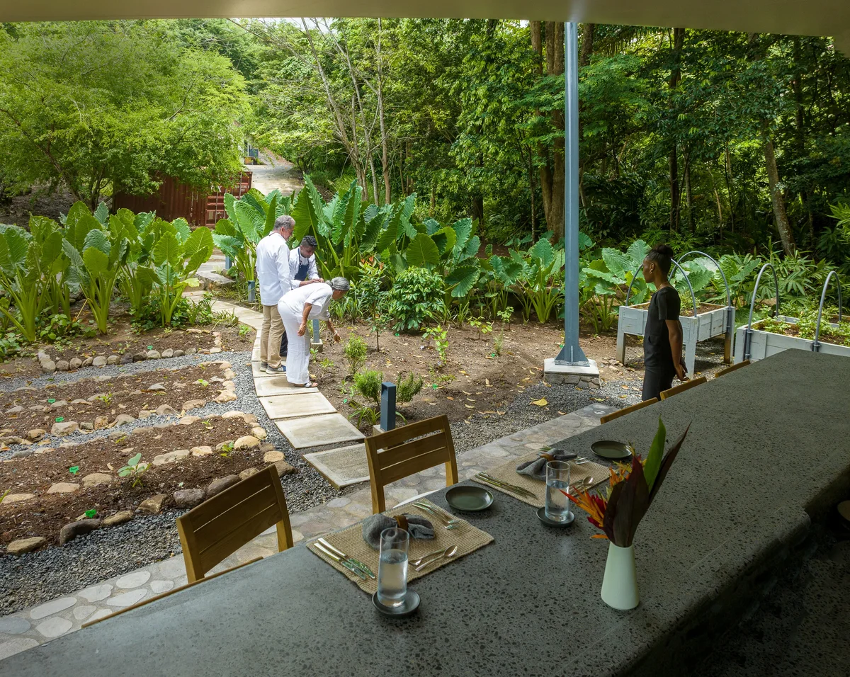 The kitchen garden