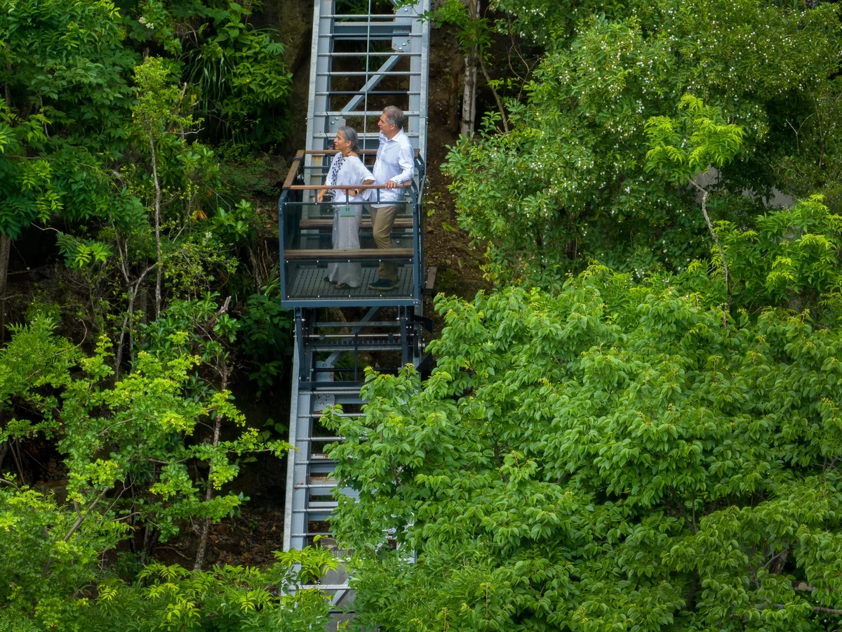 The elevated walkway through the canopy