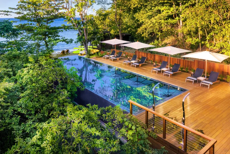 Infinity pool and timber sun deck under the rainforest canopy above the sea at Secret Bay, Dominica